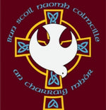 Load image into Gallery viewer, Naomh Colmcille
